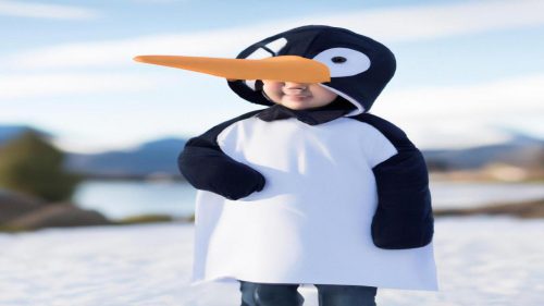 Jak zrobić strój pingiwna dla dziecka?